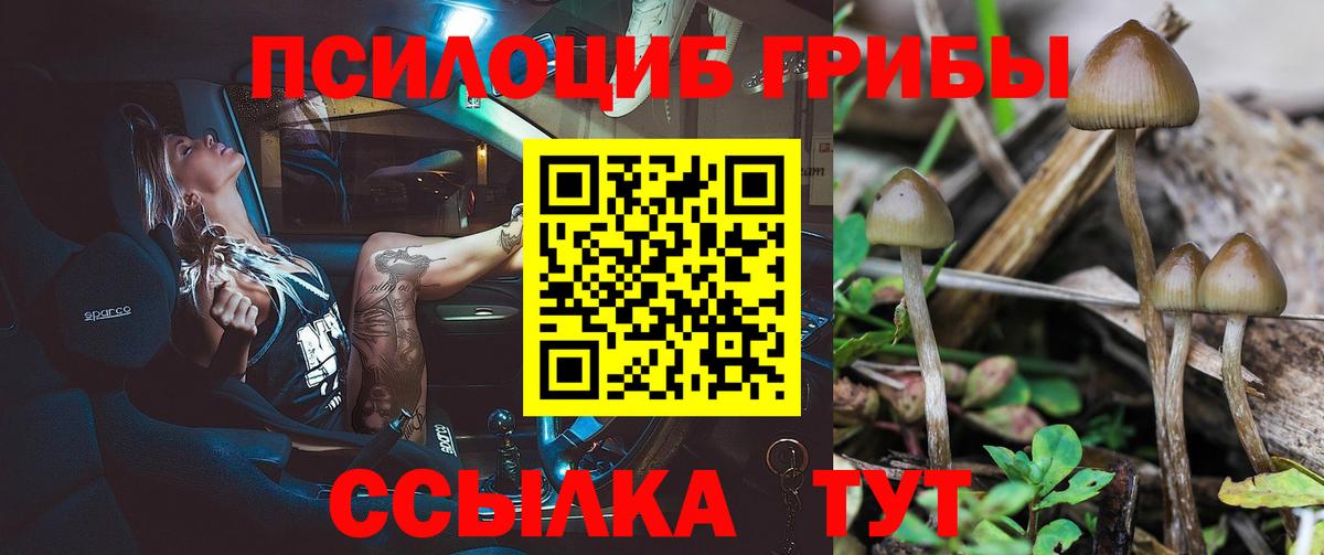 Галлюциногенные грибы Magic Shrooms Асбест